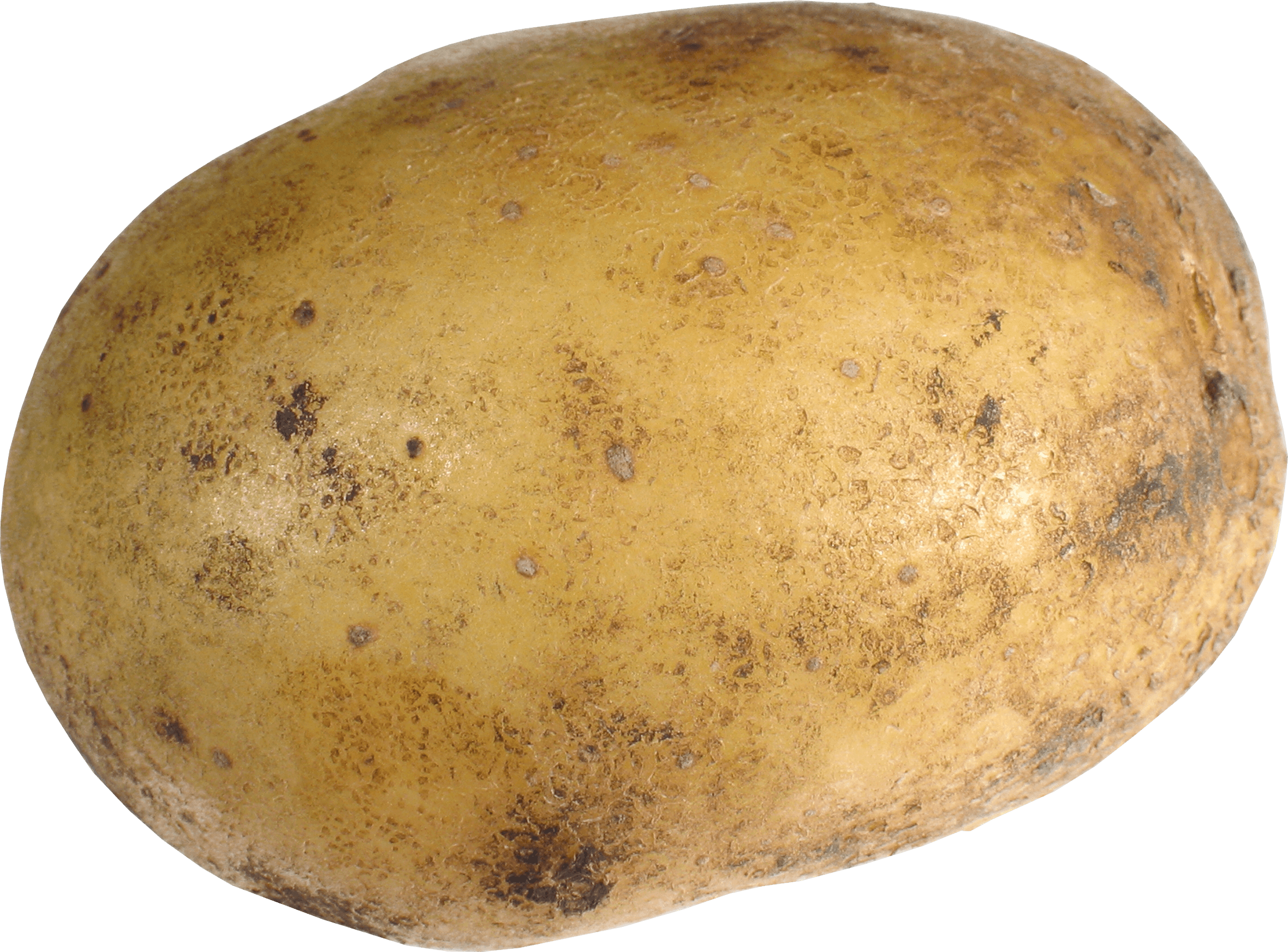 Fakepotato Logo